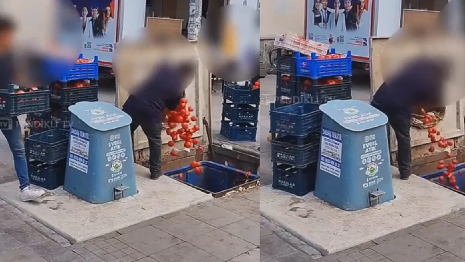 Kasa kasa domatesi çöpe döken markete Bakanlıktan ceza